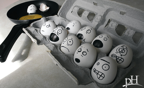 eggs