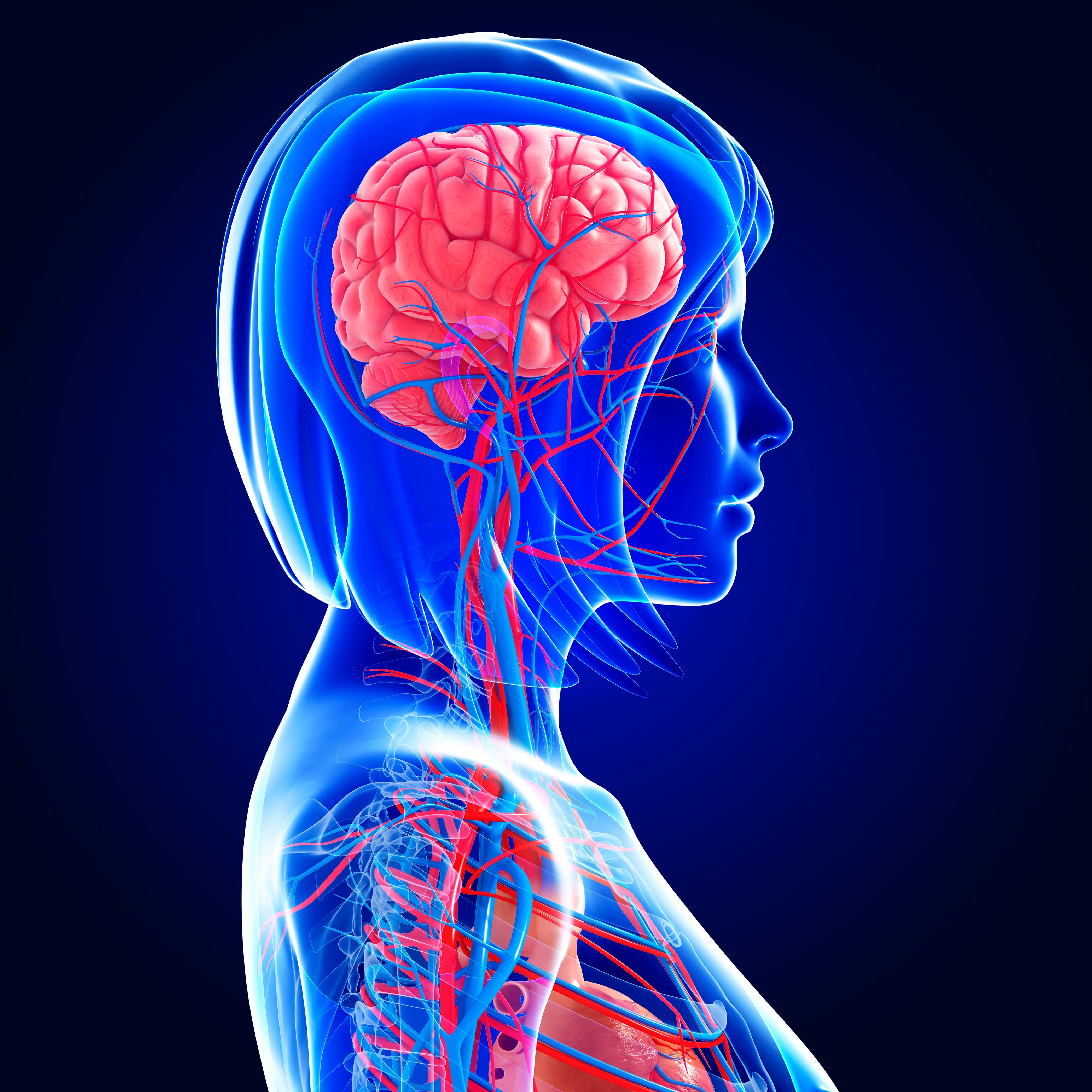 womanbrain.jpg 